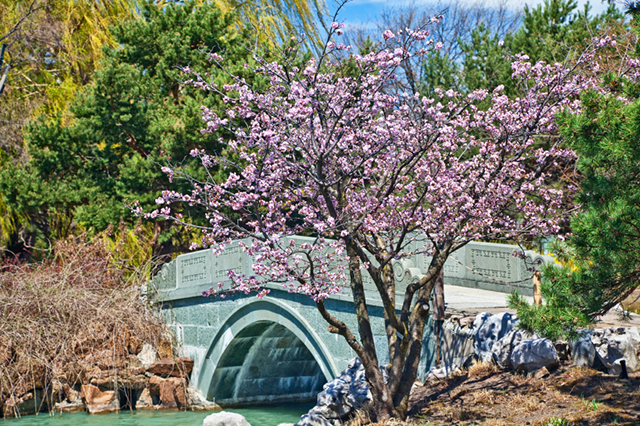 Botanic Garden Montreal Travel Guide