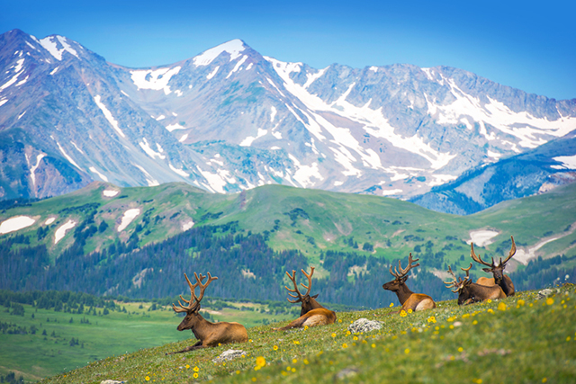 Rocky Mountains Hiking Trails for Beginners