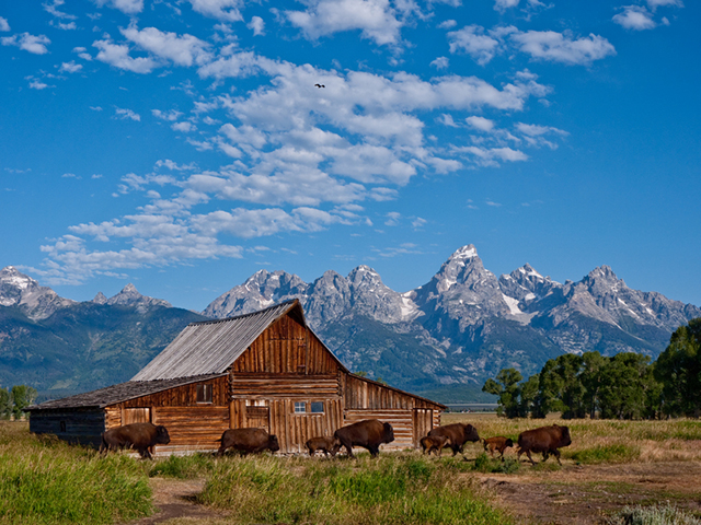 Grand Tetons National Park Hiking Trails