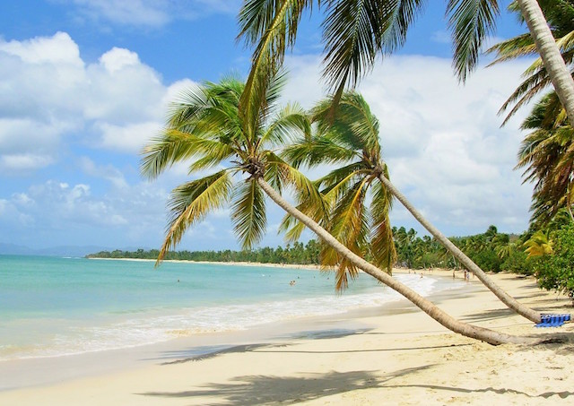 plage des Salines martinique