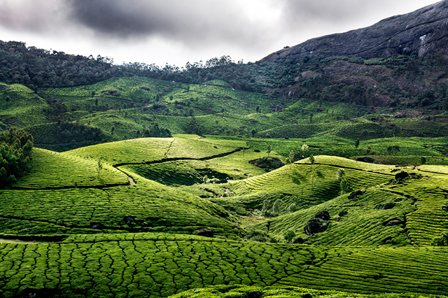 Coonoor India