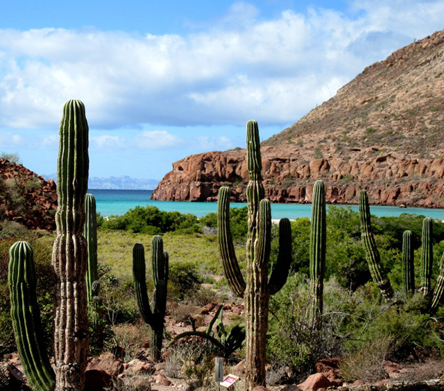 Windsurfing Rentals Baja California