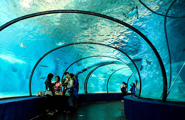 Shanghai Aquarium