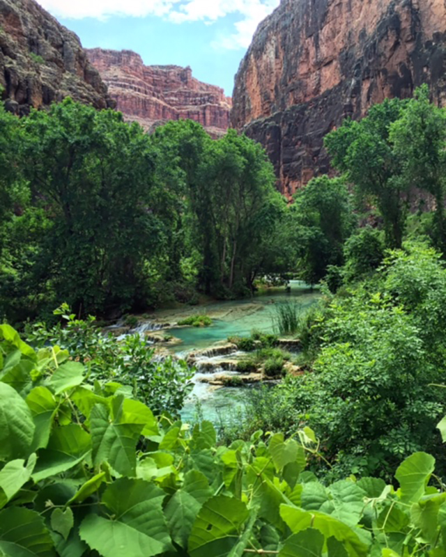 Havasupai Travel Guide 13