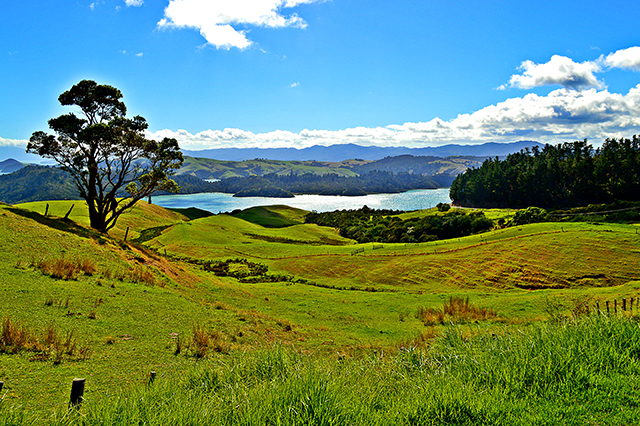 New Zealand Honeymoon Travel Tips