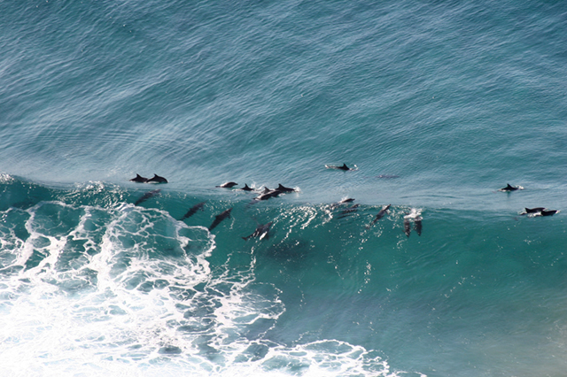 The Pass Byron Bay Best Beach